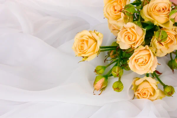 Pequenas rosas em um pano branco isolado em branco — Fotografia de Stock