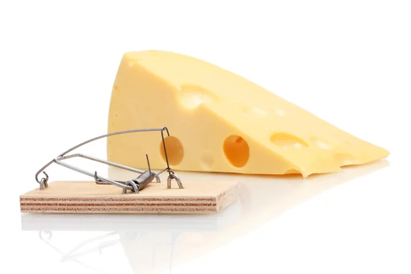 Egérfogó elszigetelt fehér sajttal — Stock Fotó