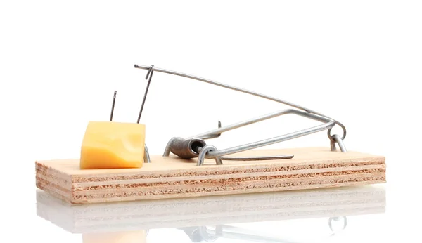 Mousetrap com pedaço de queijo isolado em branco — Fotografia de Stock