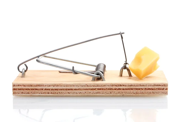 Past na myši s kouskem sýra izolovaných na bílém — Stock fotografie