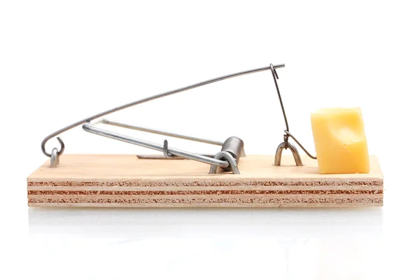 Ratonera con trozo de queso aislado sobre blanco — Foto de Stock