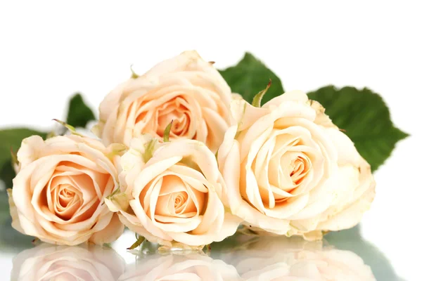 Ramo de rosas blancas aisladas en blanco — Foto de Stock