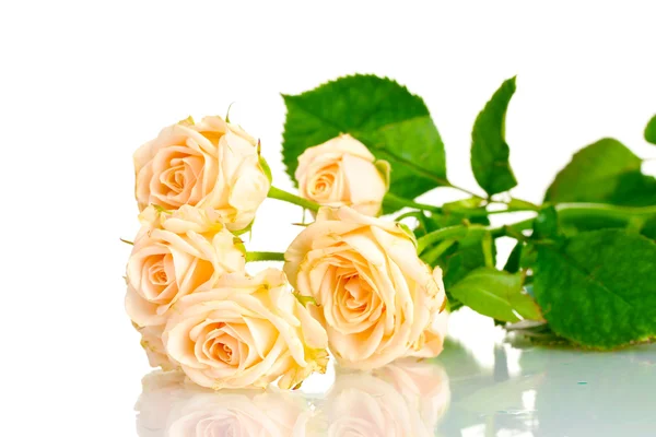 白に孤立した白いバラの花束 — ストック写真