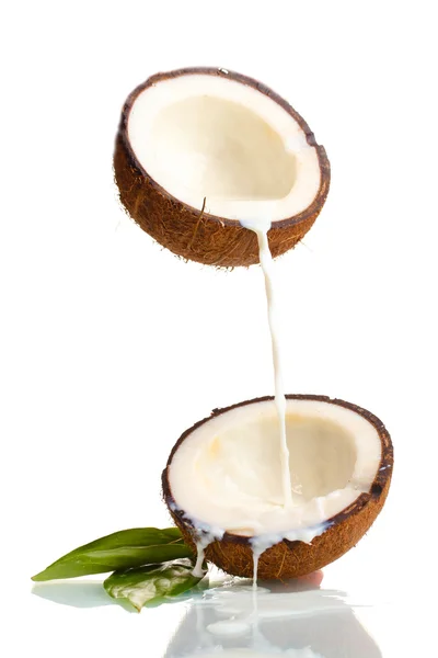 Кокос с кокосовым молоком, выделенным на белом — стоковое фото