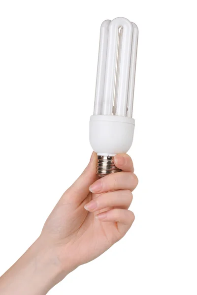Brazo que sostiene la lámpara de ahorro de energía aislada en blanco —  Fotos de Stock