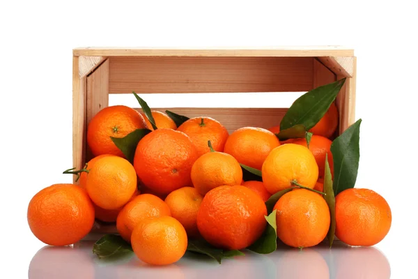Спелые вкусные мандарины с листьями в деревянной коробке упали изолированы на белый — стоковое фото