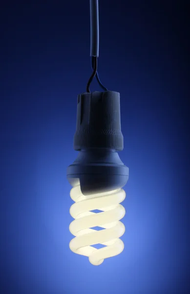 Eine leuchtende Energiesparlampe auf blauem Hintergrund — Stockfoto