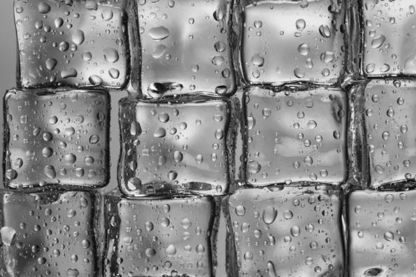 Cubos de gelo derretendo closeup — Fotografia de Stock