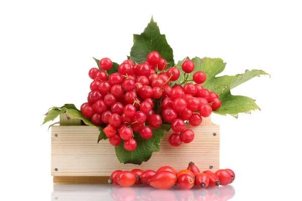 Czerwone jagody Kalina w drewniane pudełko i wrzośca na białym tle — Zdjęcie stockowe