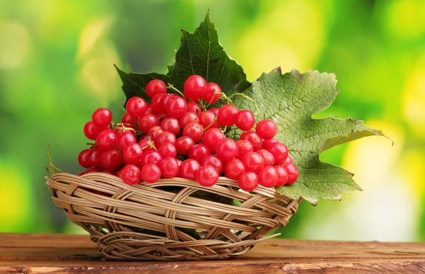 Red berries of viburnum in basket on wooden table on green background — Stock Photo, Image