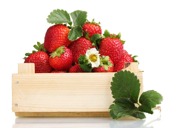 Strawberries with leaves in wooden box isolated on white — Stock Photo, Image