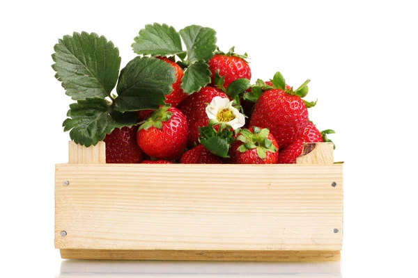 Strawberries with leaves in wooden box isolated on white — Stock Photo, Image