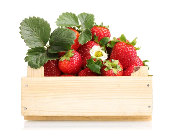 Strawberries with leaves in wooden box isolated on white — Stock Photo, Image