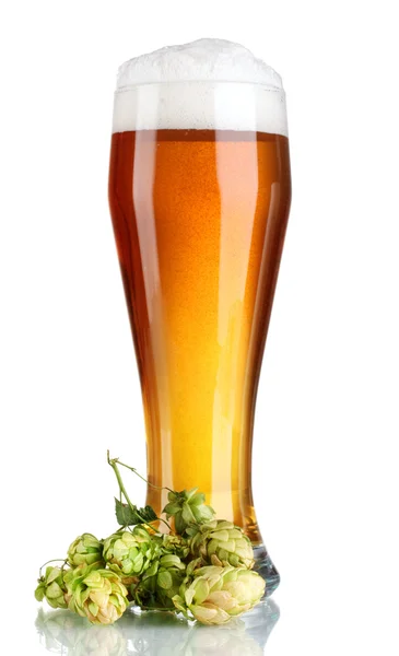 Μπύρα σε ένα ποτήρι και πράσινο λυκίσκου που απομονώνονται σε λευκό — Φωτογραφία Αρχείου