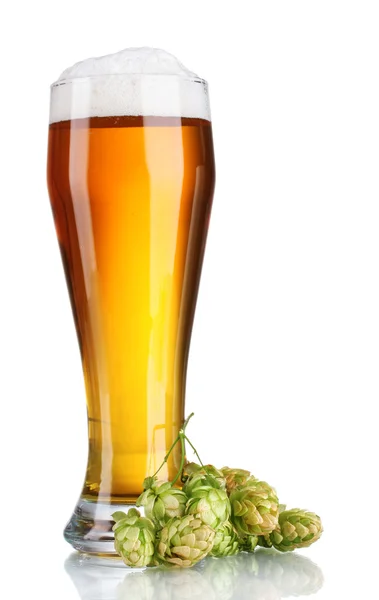 맥주 유리에 흰색 절연 녹색 홉 — 스톡 사진