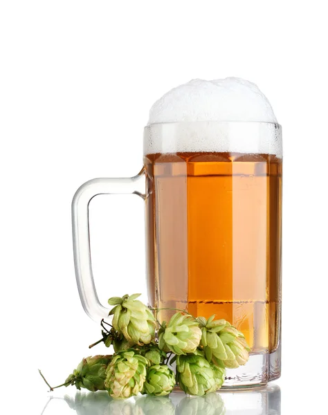 Кружка пива и зеленый хмель изолированы на белом — стоковое фото