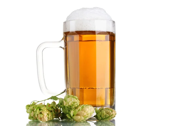 Кружка пива и зеленый хмель изолированы на белом — стоковое фото