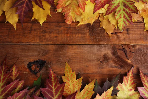 Яркие осенние листья клена на деревянном фоне — стоковое фото