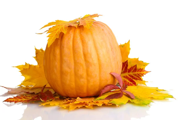 Ripe pumpkin and autumn leaves isolated on white — Stock Photo, Image