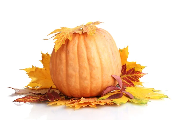 Ripe pumpkin and autumn leaves isolated on white — Stock Photo, Image
