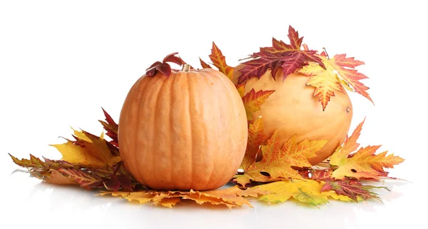 Two ripe pumpkins and autumn leaves isolated on white — Stock Photo, Image