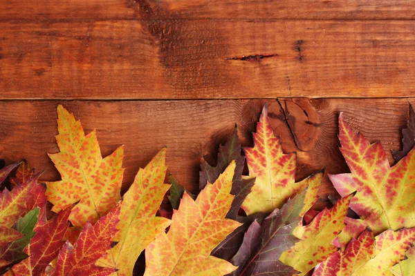 Folhas de bordo de outono vívidas no fundo de madeira — Fotografia de Stock