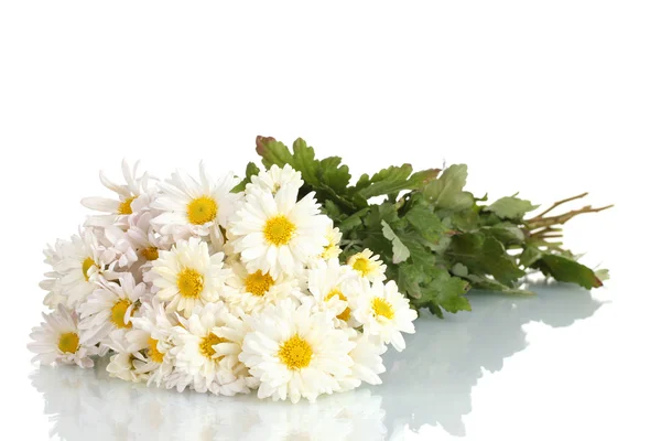 Beautiful bouquet of daisies isolated on white — Stock Photo, Image