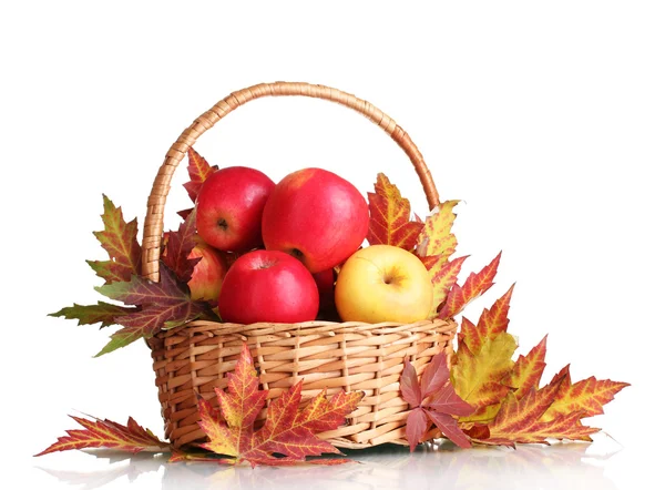 Beautiful autumn harvest in basket and leaves isolated on white — Stock Photo, Image