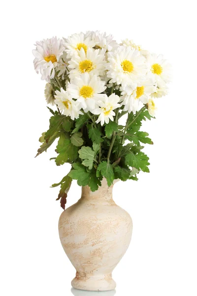 白で隔離されるつぼのヒナギクの美しい花束 — ストック写真