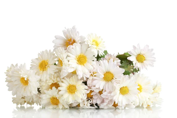 Schöner Strauß Gänseblümchen isoliert auf weiß — Stockfoto
