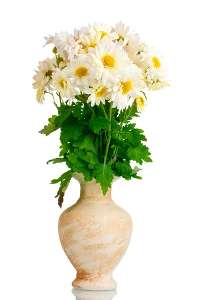 Красивый букет маргаритки в вазе изолированы на белом — стоковое фото