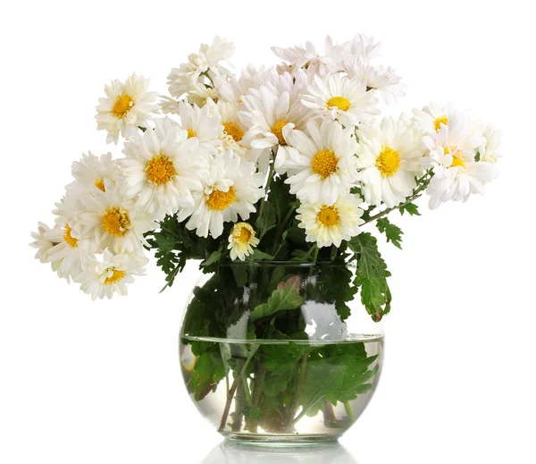 Bellissimo mazzo di margherite in vaso isolato su bianco — Foto Stock