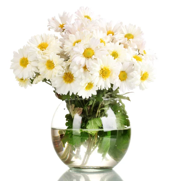Beau bouquet de marguerites en vase isolé sur blanc — Photo