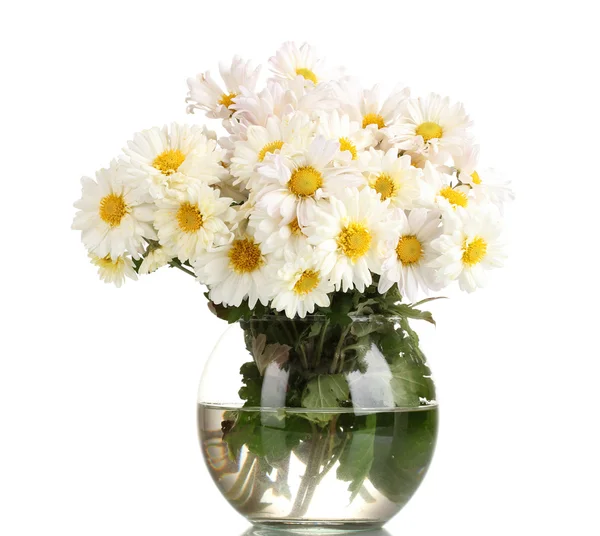 Beautiful bouquet of daisies in vase isolated on white — Stock Photo, Image