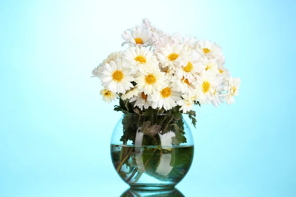 stock image Beautiful bouquet of daisies in vase on blue background