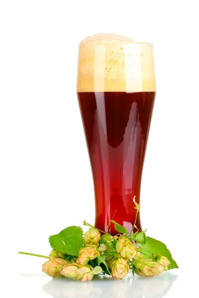 Cerveza roja con espuma en vidrio y lúpulo aislado en blanco —  Fotos de Stock