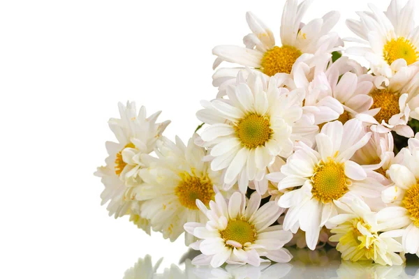 Beautiful bouquet of daisies isolated on white — Stock Photo, Image