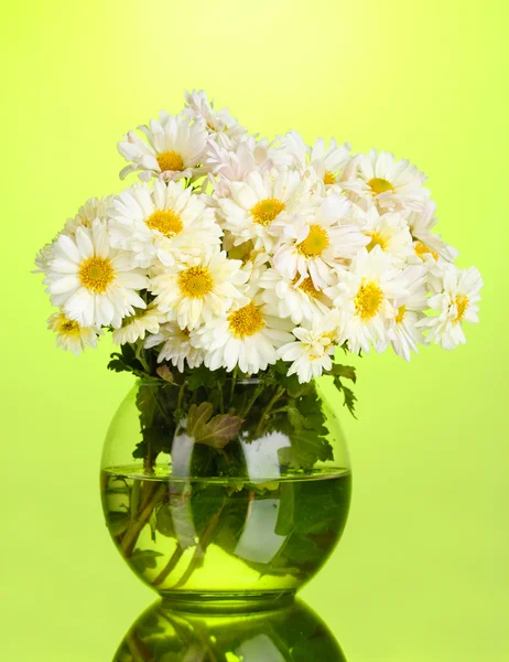 Gyönyörű csokor százszorszépek, váza zöld háttér — Stock Fotó