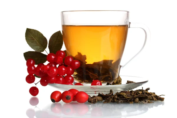 Zelený čaj s červeným Kalina a boky v šálek izolované na bílém — Stock fotografie