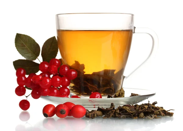 Zelený čaj s červeným Kalina a boky v šálek izolované na bílém — Stock fotografie
