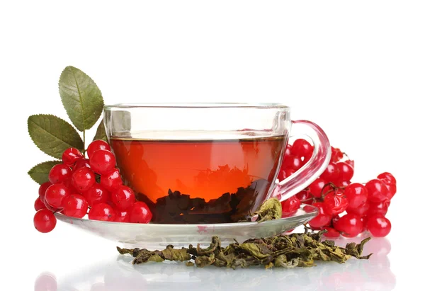 Tè nero con viburno rosso in tazza di vetro isolato su bianco — Foto Stock