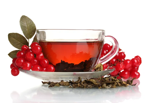Siyah çay ile cam fincan beyaz izole kırmızı Kartopu çiçeği — Stok fotoğraf