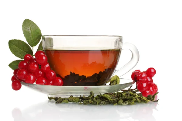 Svart te med röd viburnum i glas cup isolerad på vit — Stockfoto