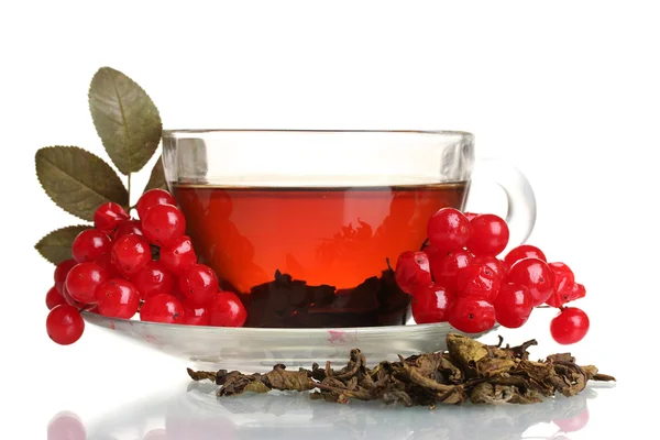 Black tea with red viburnum in glass cup isolated on white — Stock Photo, Image