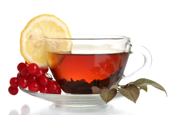 Schwarzer Tee mit rotem Viburnum und Zitrone in Glasschale isoliert auf weißem — Stockfoto