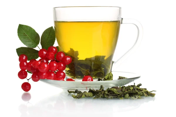 Πράσινο τσάι με κόκκινο viburnum στο κύπελλο γυαλιού που απομονώνονται σε λευκό — Φωτογραφία Αρχείου
