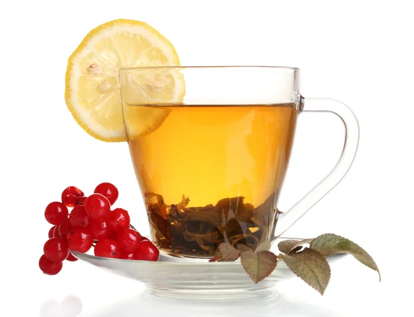 Πράσινο τσάι με κόκκινο viburnum και λεμόνι στο κύπελλο γυαλιού που απομονώνονται σε λευκό — Φωτογραφία Αρχείου