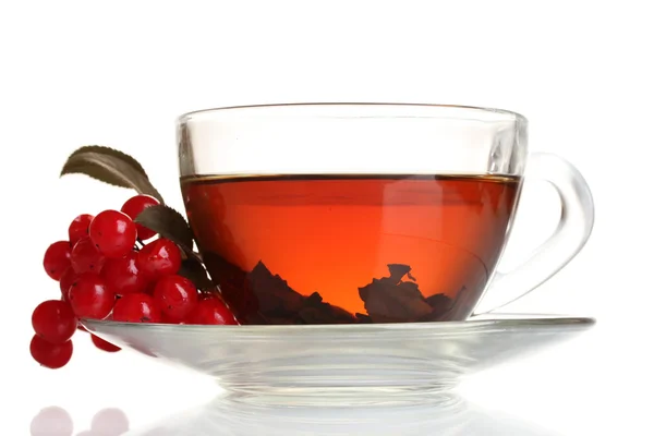 Zwarte thee met rode planten van viburnum in glazen beker geïsoleerd op wit — Stockfoto