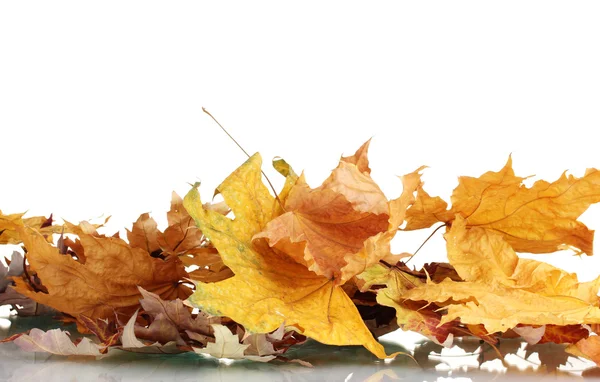Hojas secas de otoño aisladas en blanco — Foto de Stock