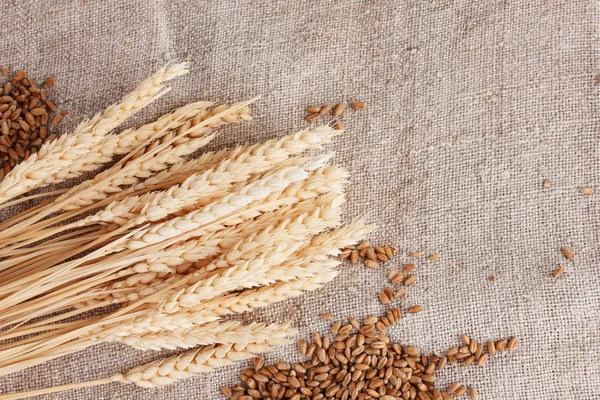 小麦と小麦耳黄麻布のクローズ アップの — ストック写真